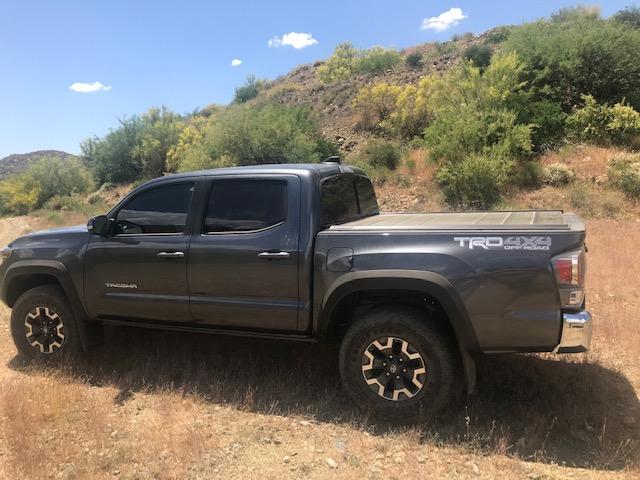 In desert with Peragon.jpg